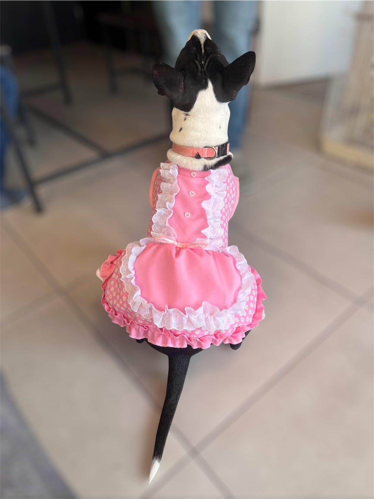 Guautidito de huasa (Vestidito de huasa)