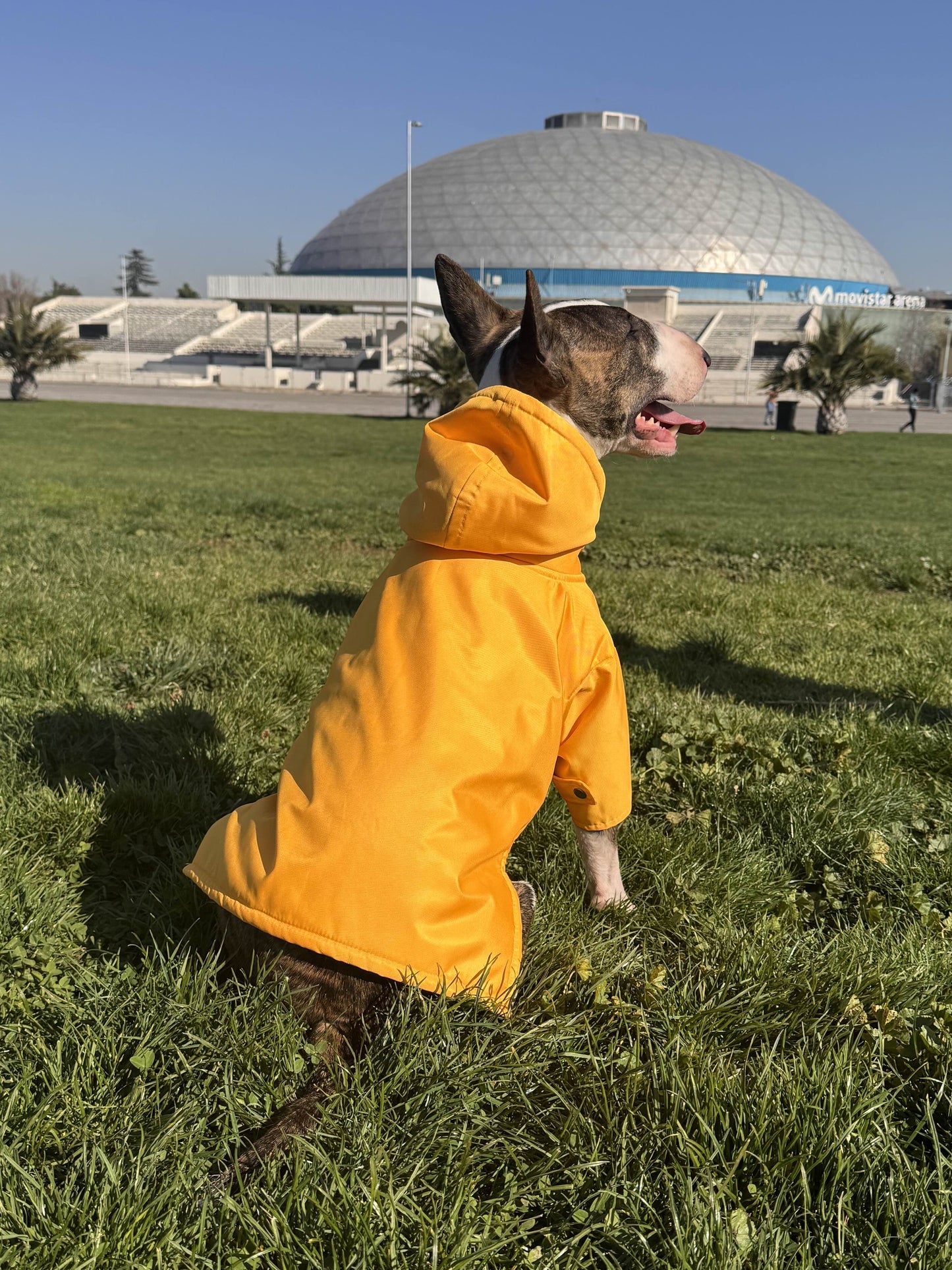 Impermeable