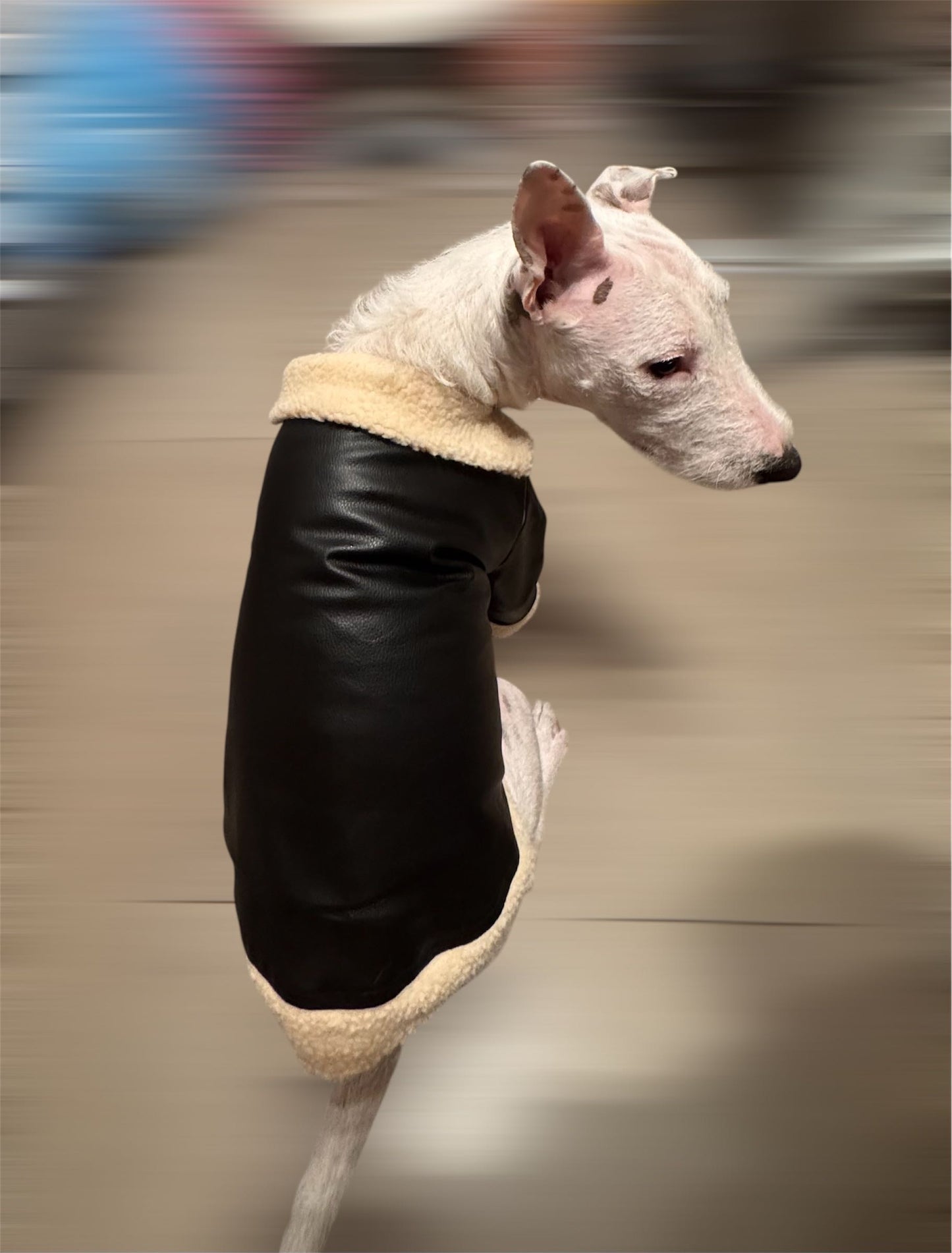 Chaqueta De Cuero(cuero pu)