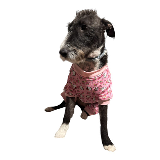 Pijama Polar Cozy