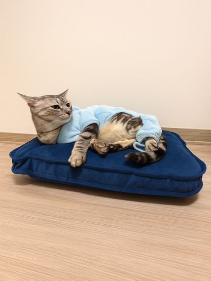 Cama para perro o gato (anti mordedura)