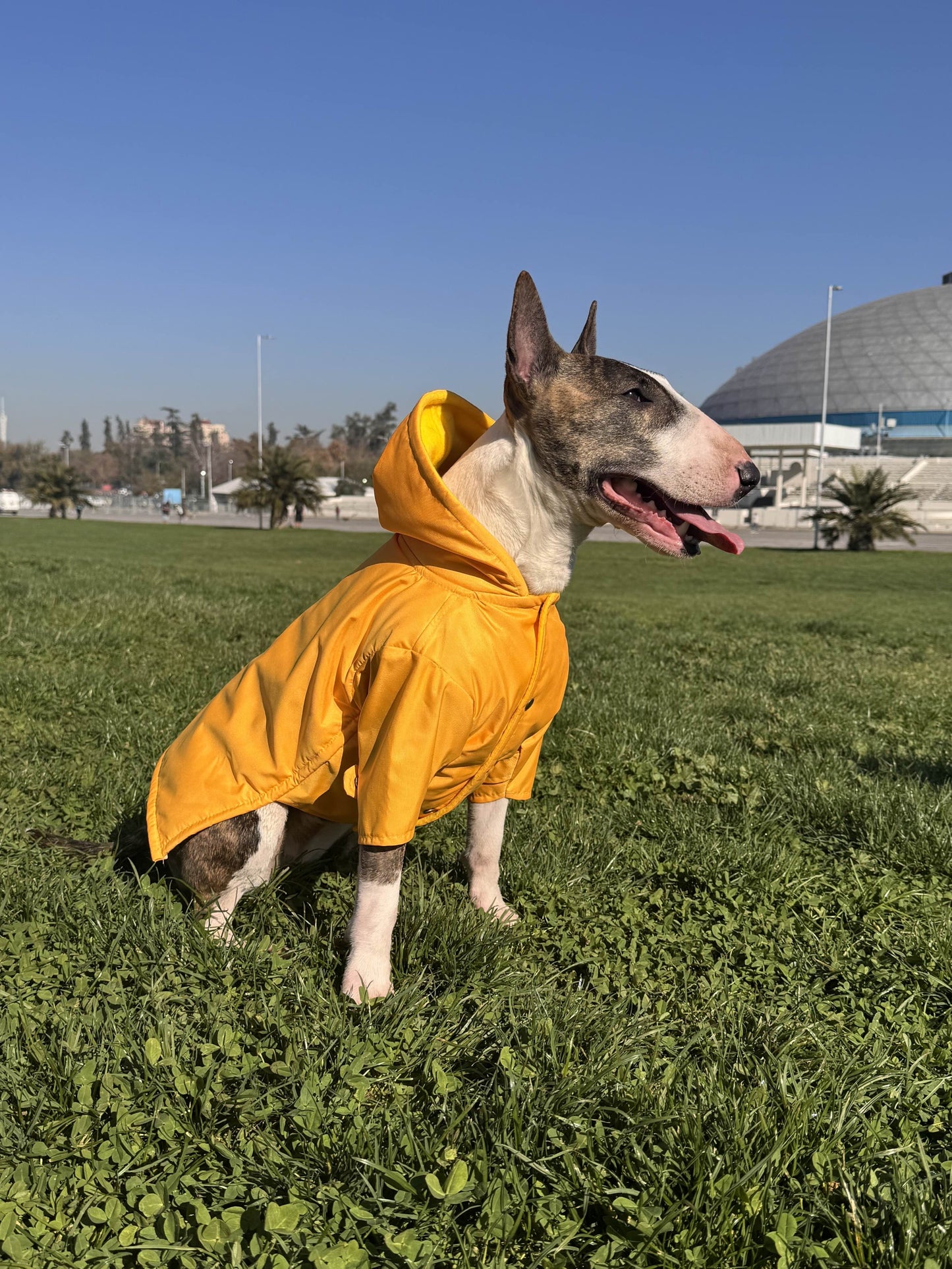 Impermeable
