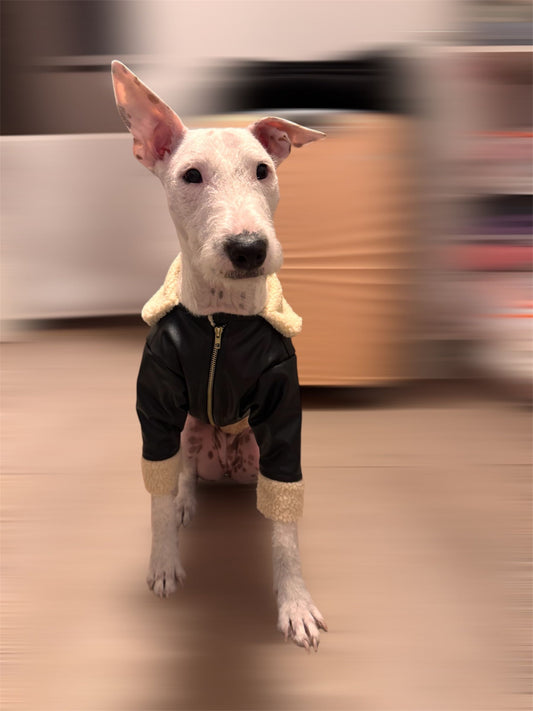 Chaqueta De Cuero(cuero pu)