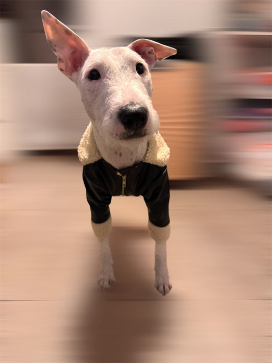 Chaqueta De Cuero(cuero pu)