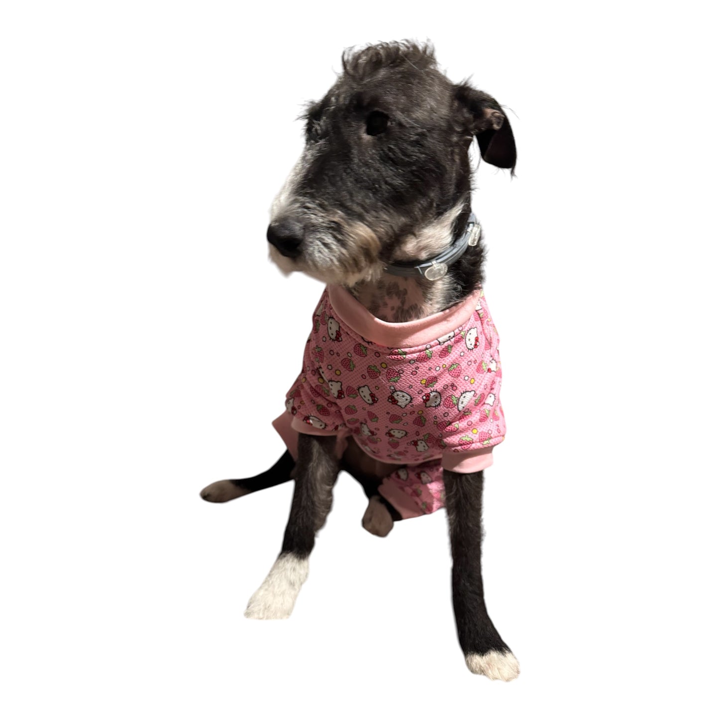 Pijama Polar Cozy