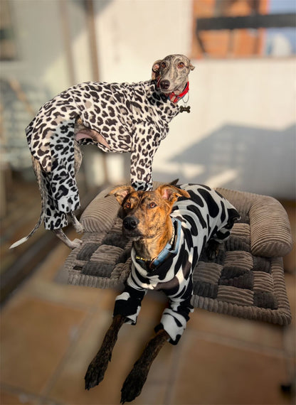 Traje completo Galgos